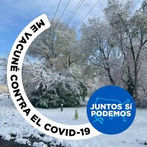 Meet your Posher, Antonio